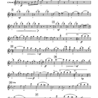 The Picadore (March) - Flute 1