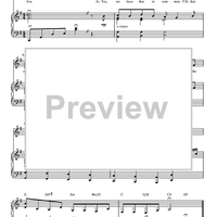 Small Umbrella In The Rain