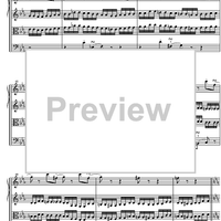 Eine Kleine Nachtmusik KV525 - Score