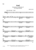 Gm2 (Greensleeves millennium 2) - Bass