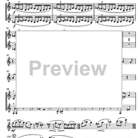 Contrabbasso concertante - Violin 2