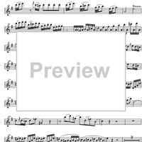 Concerto No. 3 G Major, KV216 - Violin