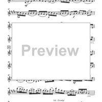 The Violin Concerti - Violin 1