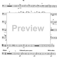 Divertimento - Bassoon