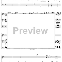 Flute Concerto in G Major - Piano