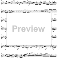 Suite in C Minor, BWV997 - Flute