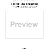 Lucia di Lammermoor, Il dolce suono, (I hear the breathing)