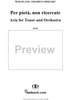 Aria for Tenor and Orchestra: "Per pietà, non ricercate", K. 420 - Full Score