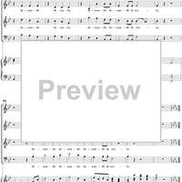 Mass No. 9 (Sancti Bernardi) in B-flat Major, "Heiligmesse": No. 3. Credo