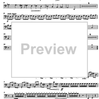 Divertimento Op.69 - Bassoon