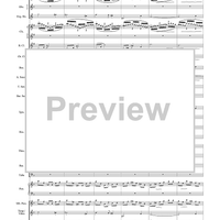 Harry Potter Symphonic Suite - Score