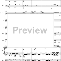 "Dite almeno in che mancai?" K479 - Full Score