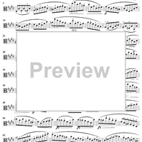 Caprice No. 12 from "Twenty-Four Caprices"