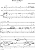 Piano Trio in G Major WoO 37 - Piano