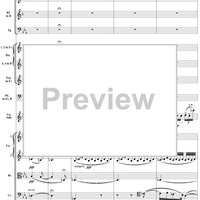 Violin Concerto No. 1, Movement 2 - Score