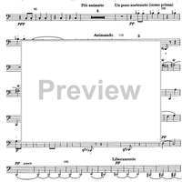 Divertimento - Bassoon