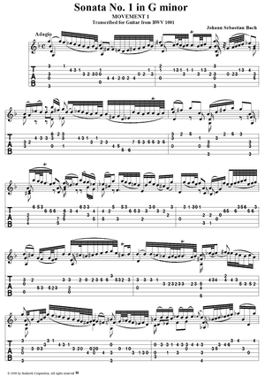 Sonata No. 1 in G Minor: First Movement