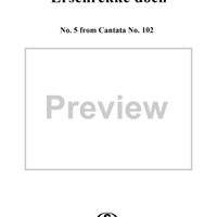 Erschrekke doch - No. 5 from Cantata No. 102 - BWV102