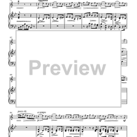 Variations on “Là ci darem la mano”