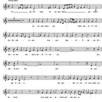 Tu es Petrus - Altus