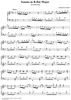 Sonata in B-flat major, K112