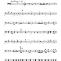 Velocity - Violoncello