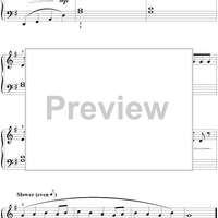 The Lion Sleeps Tonight