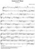 Sonata in E minor - K232/P317/L62