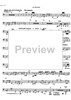 Divertimento - Bass Tuba