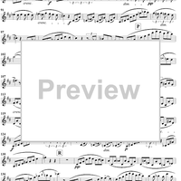 Violin Duet No. 13 in D Major, Op. 150 - Violin 1