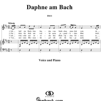 Daphne am Bach, D411