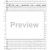 Harry Potter Symphonic Suite - Score