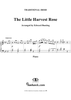 Little Harvest Rose