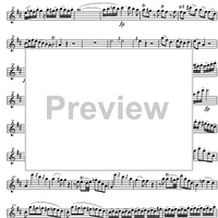 Concerto No. 2 C Major KV314 - Flute