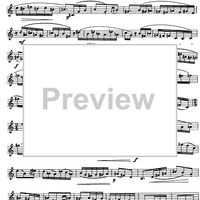 Preliminary studies to 'The Accomplished Clarinettist' Vol. 2 - Clarinet