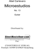 Microestudios No.13