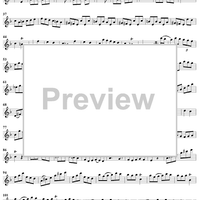 Sonata No. 11 in D Minor - Flute