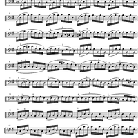 Suite No. 1 G Major BWV 1007 - Cello