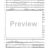 Violin Concerto in E Minor, Movement 1 - Full Score