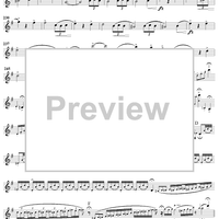 Sounds from the Hudson - Cornet