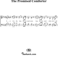The Promised Comforter