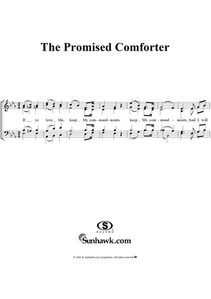 The Promised Comforter