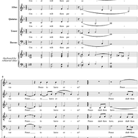 Cruel Wilt Thou Persever