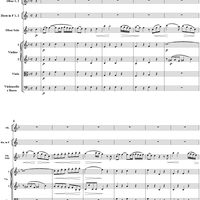 Oboe Concerto in C Major, HobVIIg/C1 Movement 2 - Full Score