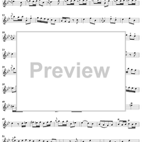 Sonata No. 25 in G Minor - Flute