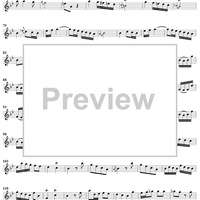 Sonata No. 6 in G Minor - Flute