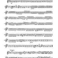 Double Concerto for Recorder and Flute in E minor - Violin 2
