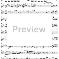 Violin Concerto No. 2 - Solo Violin