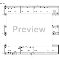 Solid Steps - C Instruments