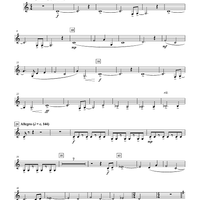 Skyline - Bb Bass Clarinet